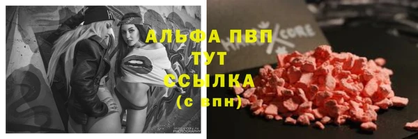 стафф Абинск